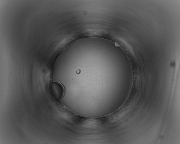 X0000101210123200807071348