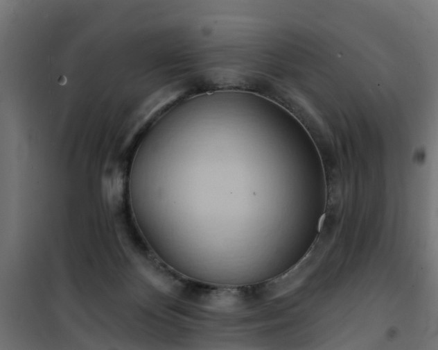 X0000101210124200807071348