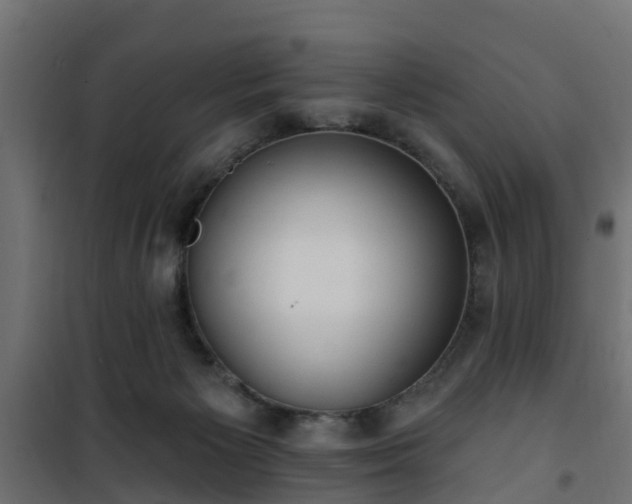 X0000101210125200807071348