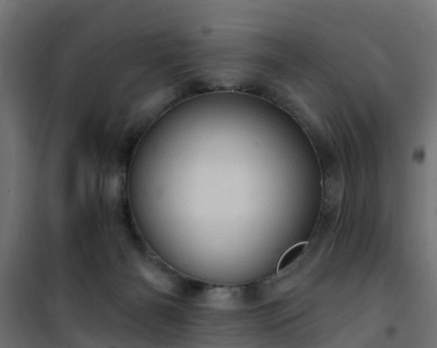 X0000101210126200807071348