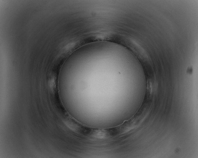 X0000101210127200807071348