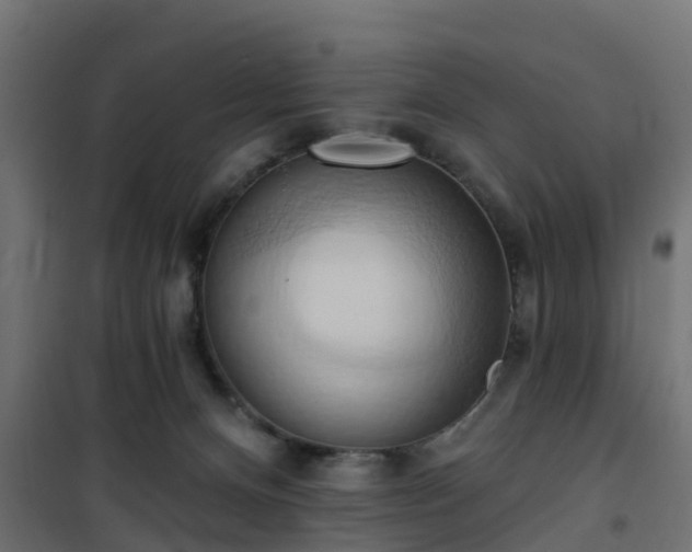 X0000101210128200807071348