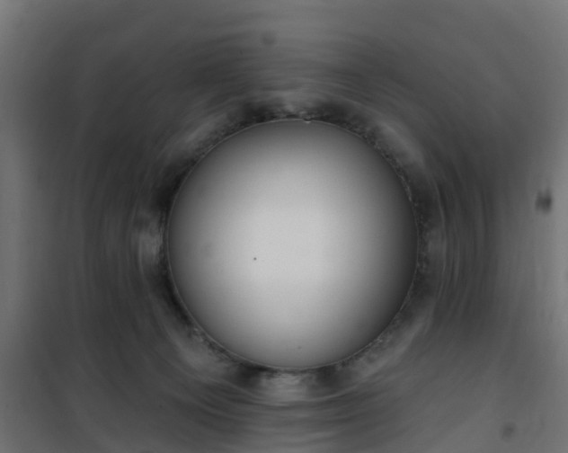 X0000101210129200807071348