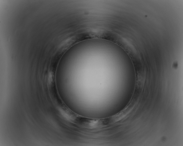 X0000101210130200807071348