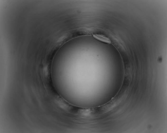 X0000101210131200807071348