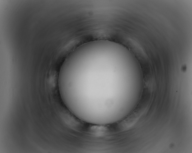 X0000101210133200807071348