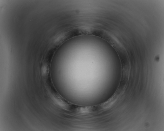 X0000101210134200807071348