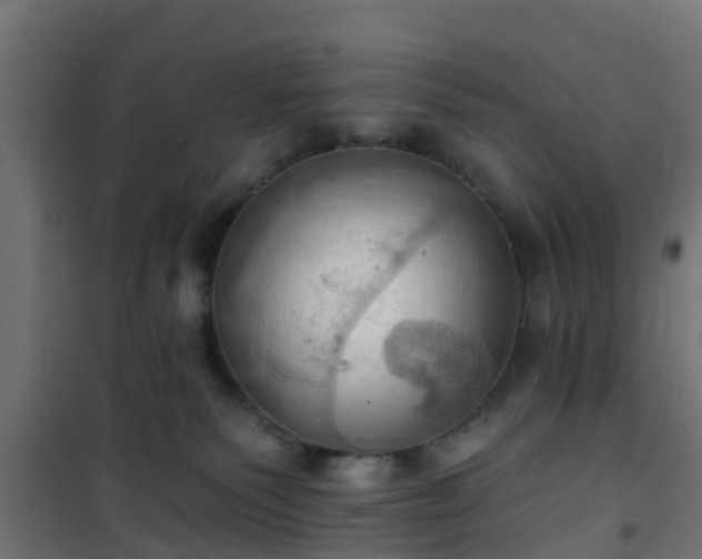 X0000101210135200807071348