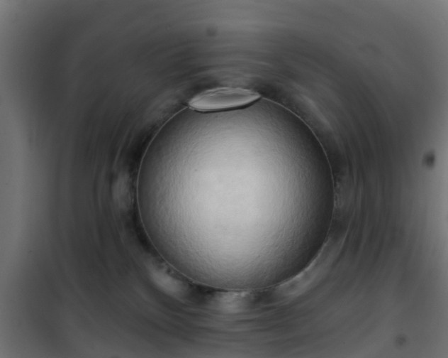 X0000101210136200807071348