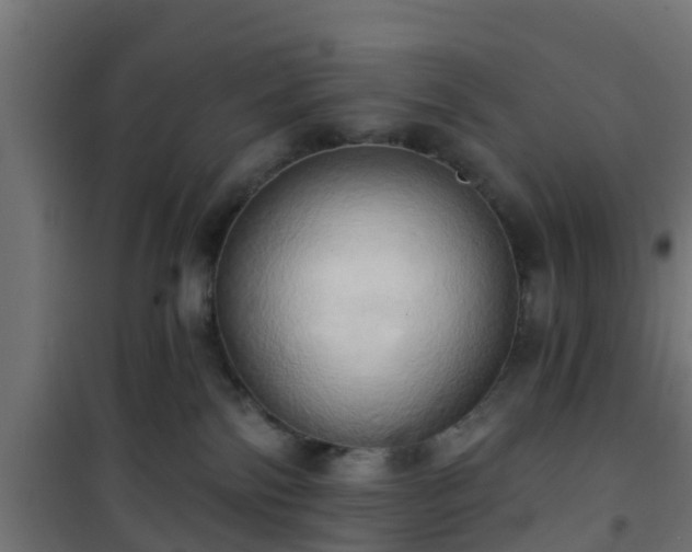 X0000101210138200807071348