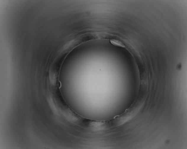 X0000101210139200807071348