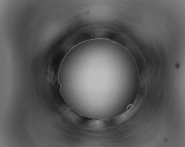 X0000101210140200807071348