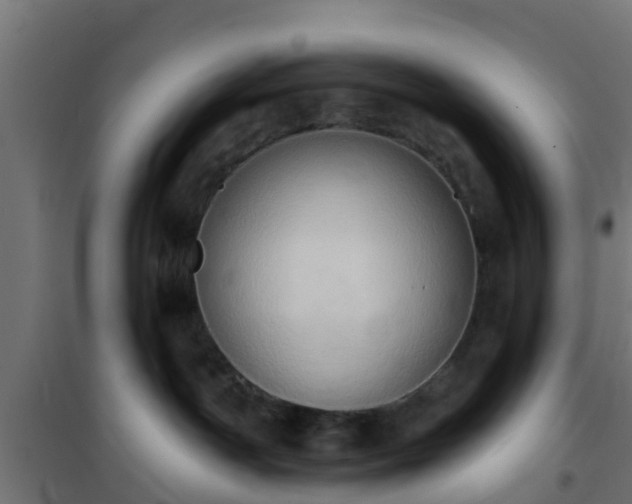 X0000101210142200807071348