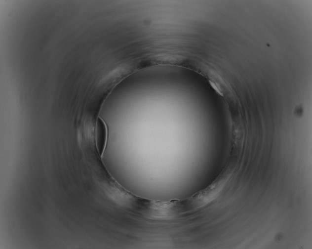 X0000101210143200807071347