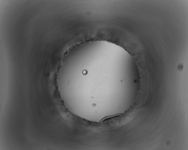 X0000101210144200807071347