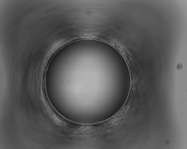 X0000101210145200807071347