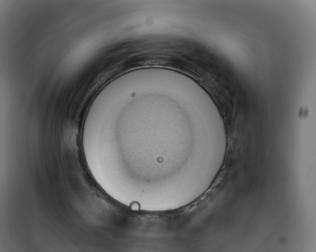 X0000101210146200807071347