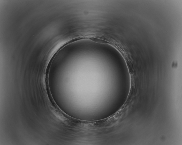 X0000101210147200807071347