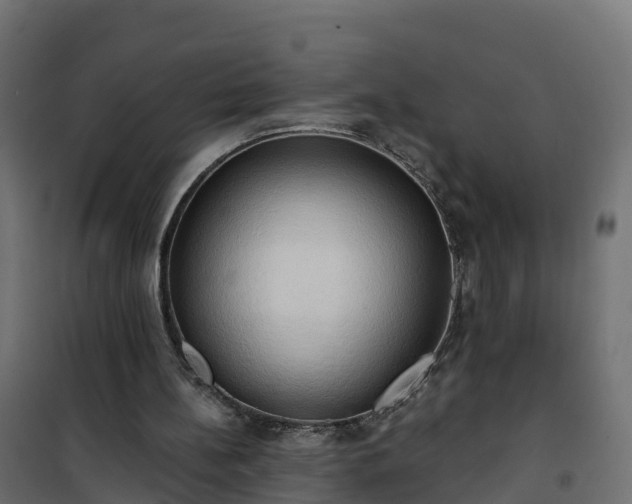 X0000101210148200807071347