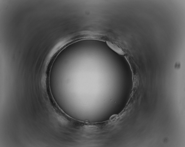 X0000101210150200807071347