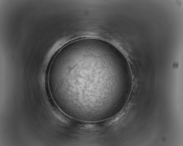 X0000101210151200807071347