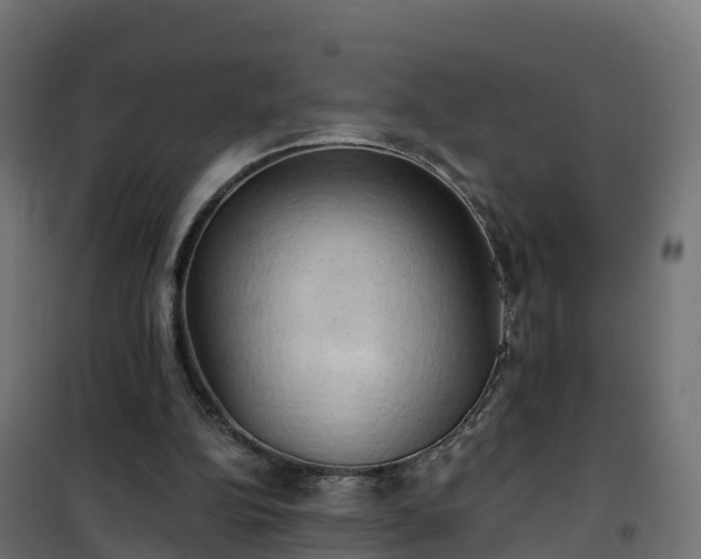 X0000101210152200807071347