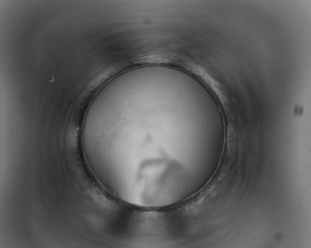 X0000101210153200807071347