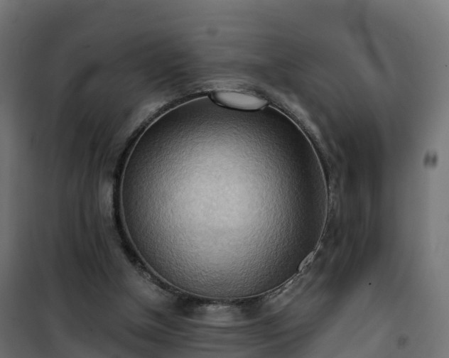 X0000101210154200807071347