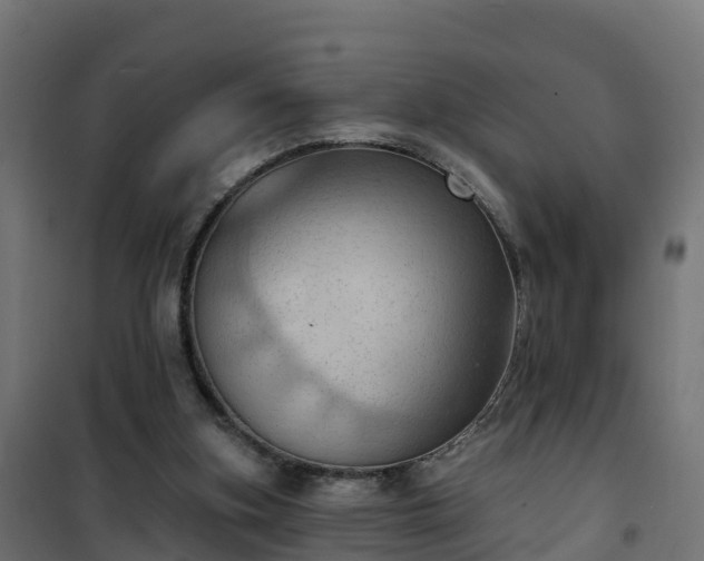 X0000101210155200807071347