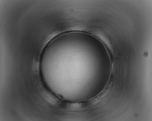 X0000101210156200807071347