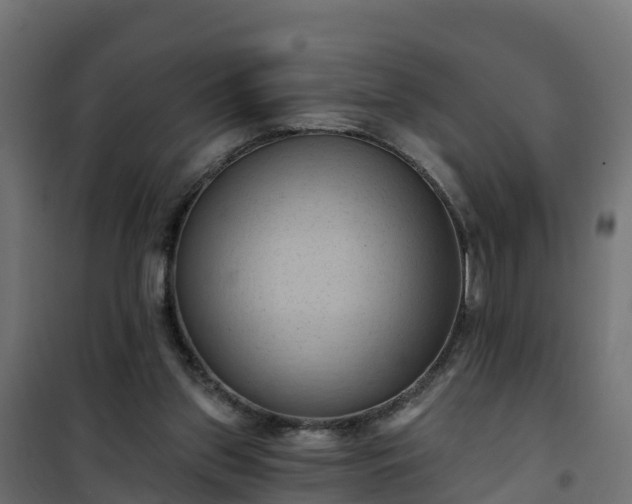 X0000101210157200807071347