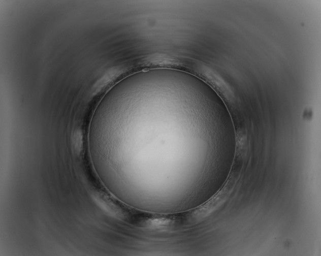 X0000101210158200807071347