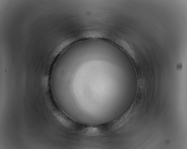 X0000101210159200807071347