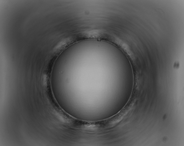 X0000101210161200807071347