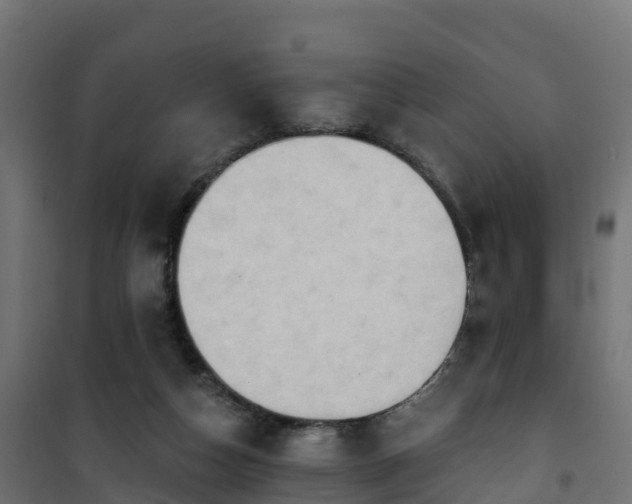 X0000101210162200807071347