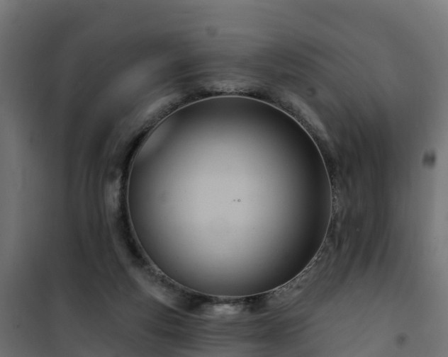 X0000101210163200807071347