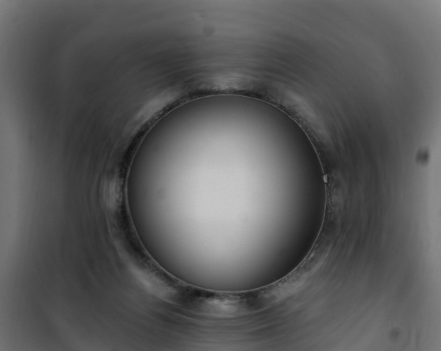 X0000101210164200807071347