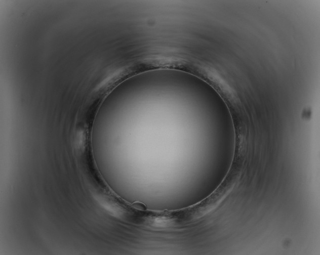 X0000101210165200807071347