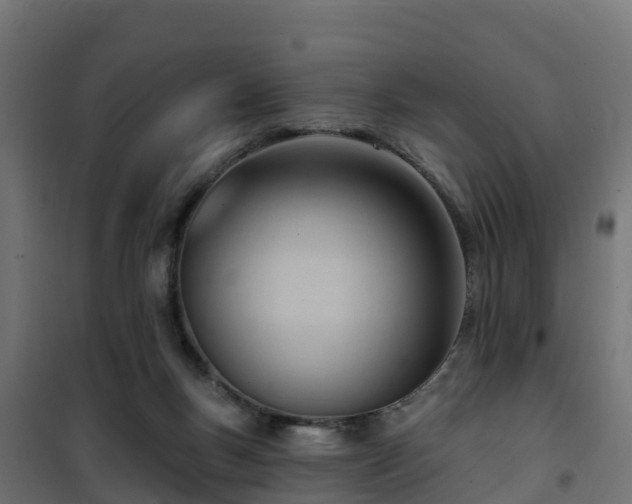 X0000101210167200807071347