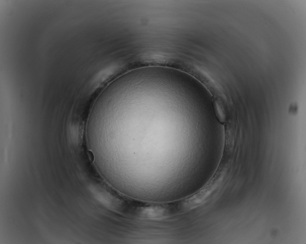 X0000101210168200807071347