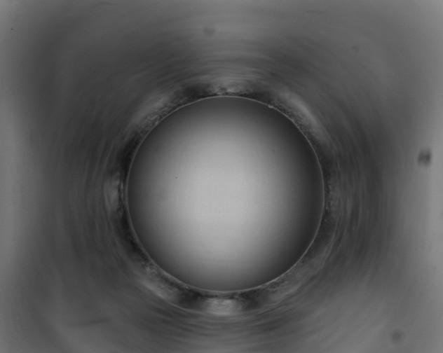 X0000101210169200807071347