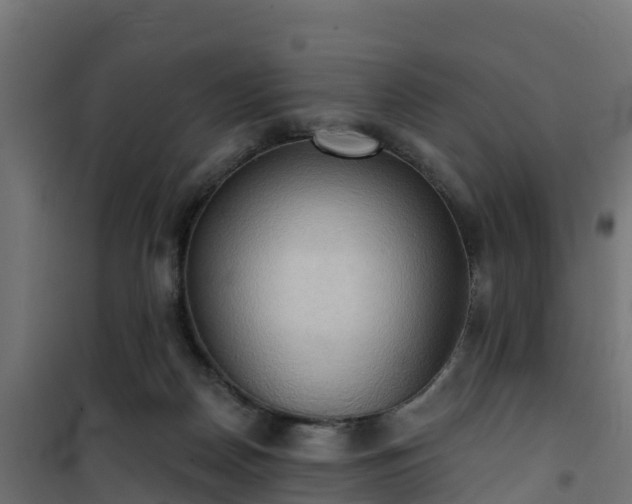 X0000101210170200807071347