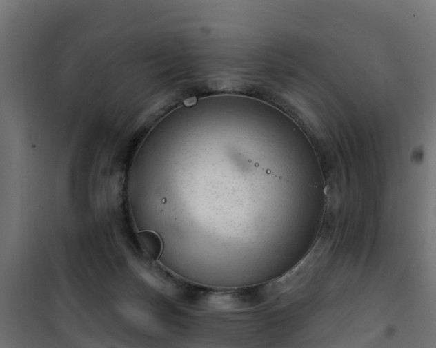 X0000101210171200807071347