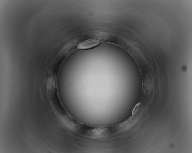 X0000101210172200807071347