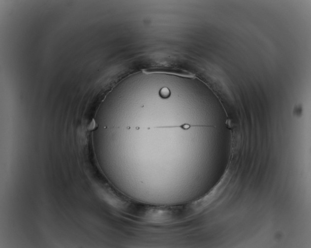 X0000101210174200807071347