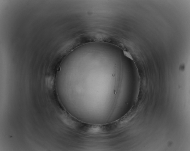 X0000101210177200807071347