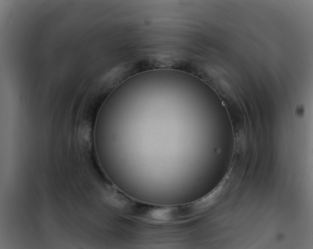 X0000101210178200807071347