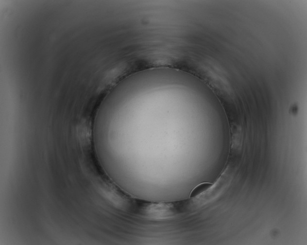 X0000101210179200807071347