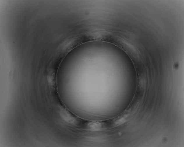 X0000101210181200807071347