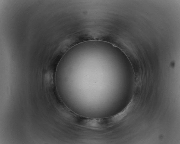 X0000101210182200807071347